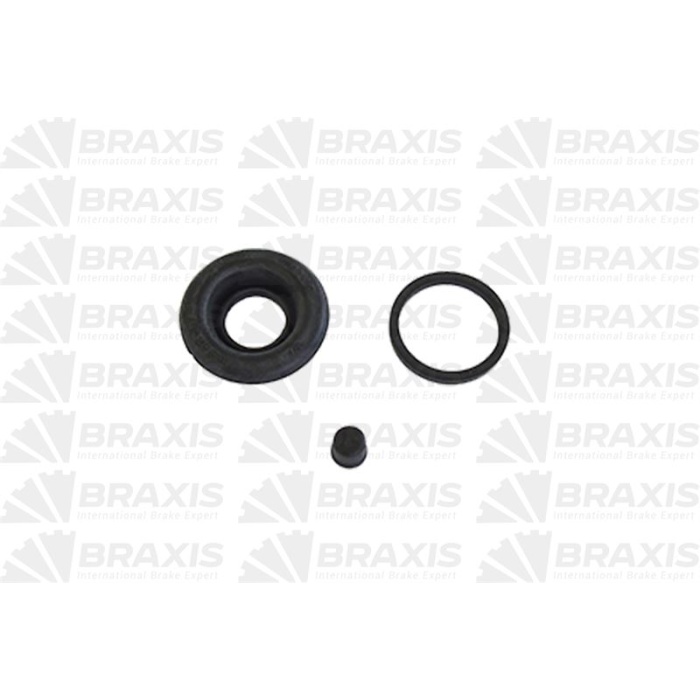BMW FREN KALIPERI TAMIR TAKIMI ARKA BMW E21 19751982 34211150158 KALIPER TAMIR TAKIMI BRAXIS AT1218