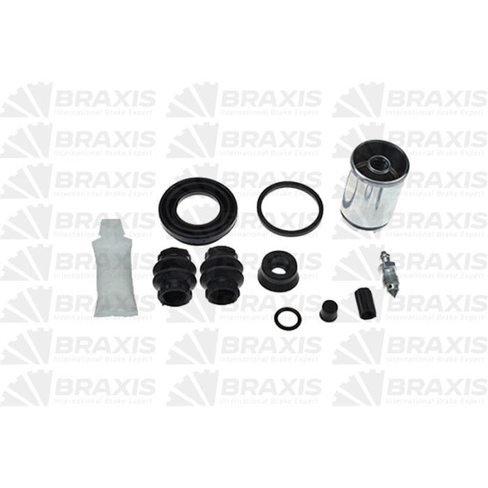 RENAULT FREN KALIPERI TAMIR TAKIMI PISTONLU MEKANIZMALI ARKA RENAULT MEGANE III (DZ0/1_)  2,0 TCe 220 11.1.2 32056363 FREN KALIPERI BRAXIS AT4018 TRW BHQ246,