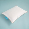 Othello Downa Kaz Tüyü Baby Yastık %30 Gıdık 35x45