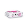 Sleepy Yüzey Temizlik Havlusu 100 Adet Lilyum Pembe