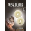 Modacar GOLD Mini Saç Topuz Süngeri  2 ADET 7.5 CM Çap 3 cm Kalınlık