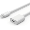 ZR81 Lightning Uzatma Kablosu 1 M