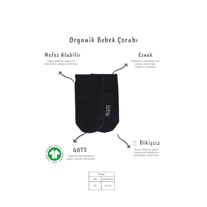 Bistyle 5li Penye Soket Kutulu Basic Çorap 10131 Gri