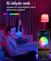 İgotech Akıllı Led Ampül Wifi Bluetooth