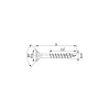 SPAX 4.5 X 50 T STAR PLUS T 20 WİROX KAPLAMA VİDA (500LÜ KUTU)