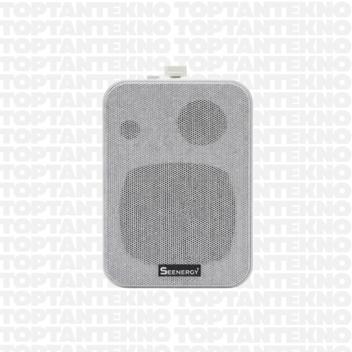 Seenergy SE-40T 30W 4 İnç Duvar Hoparlörü