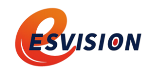 ESVISION
