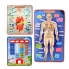 3 Set -106 Parça  İç Organlar , İskelet  Sistemi ve Takvimi Öğreniyorum Keçe Cırtlı Duvar Panoları , Eğitici Oyuncak