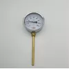 Ø 100 - 0 - 160°C 1/2 15 CM ALTTAN ÇIKIŞLI TERMOMETRE (Lisinya)