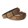Deri Metal İşlemeli Köpek Boyun Tasması 2,5 x 40-50 cm Kamel