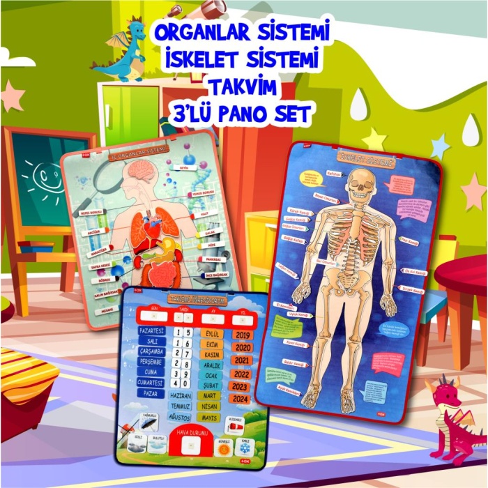 3 Set -106 Parça  İç Organlar , İskelet  Sistemi ve Takvimi Öğreniyorum Keçe Cırtlı Duvar Panoları , Eğitici Oyuncak
