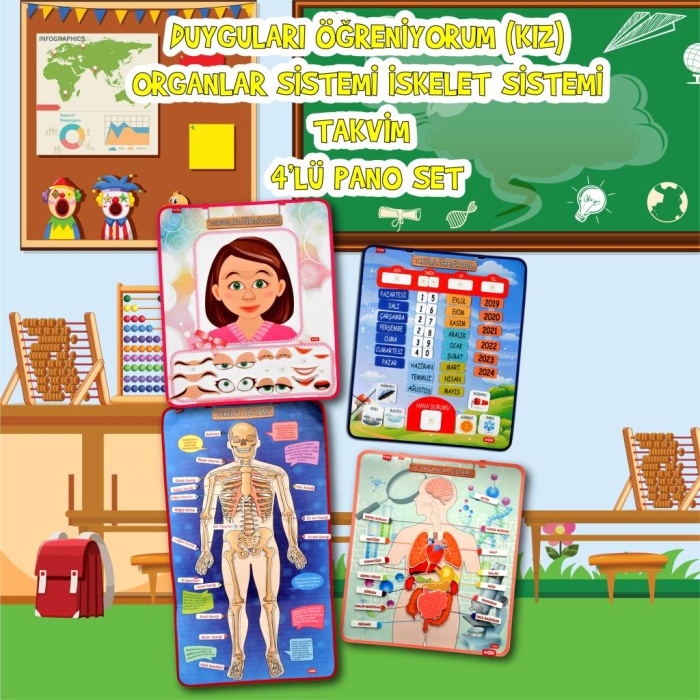 4 Set  127 Parça  İskelet , İç Organlar Sistemi , Takvim ve Duyguları Öğreniyorum Keçe Cırtlı Duvar Panoları , Eğitici Oyuncak