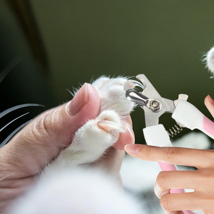 Törpülü Kedi Köpek Tırnak Makası 5,5*14,5 cm Pembe