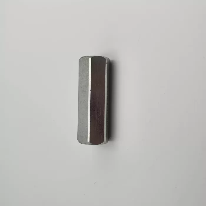 1/4 BSP HİDROLİK HAT TİPİ ÇEK VALF (Lisinya)