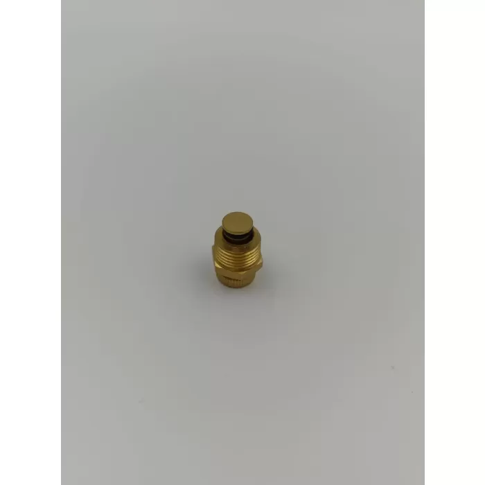 100 - 500 LT KOMPRESÖR SU TAHLİYE VANASI 3/8 (Lisinya)