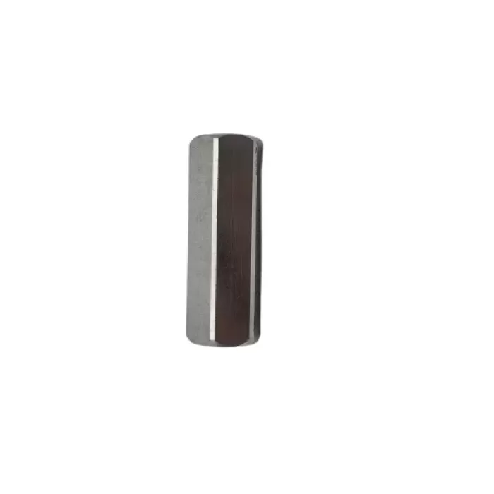 1 inç 1/2 BSP HİDROLİK HAT TİPİ ÇEK VALF (Lisinya)