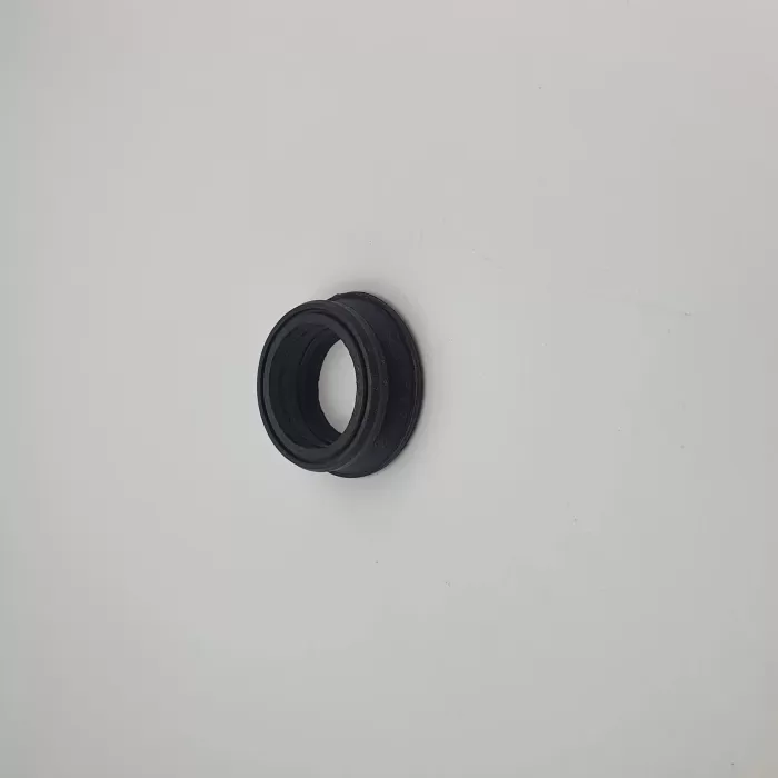 TIRNAKLI HORTUM REKORU KEÇESİ (Lisinya)