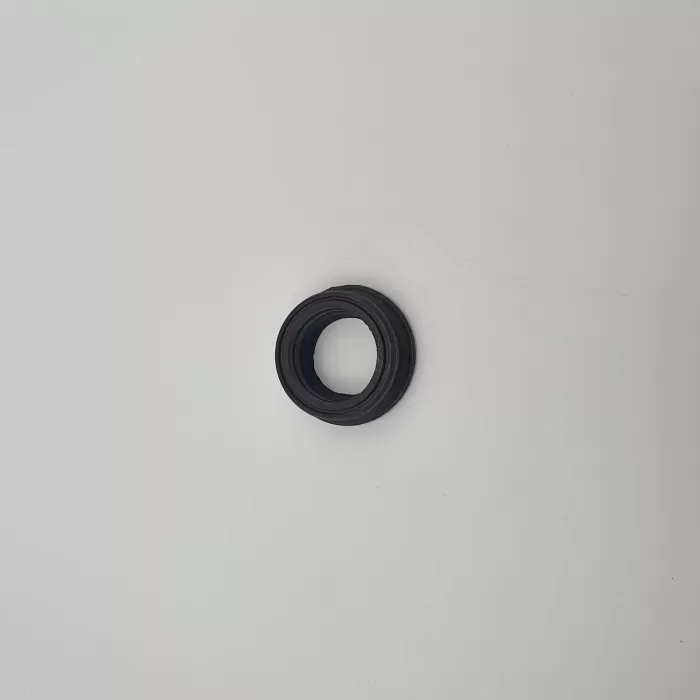 TIRNAKLI HORTUM REKORU KEÇESİ (Lisinya)