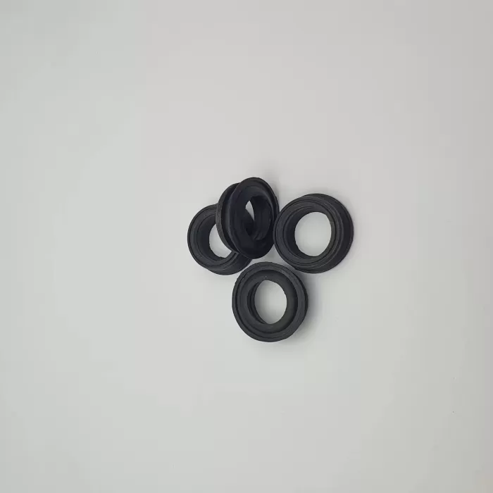 TIRNAKLI HORTUM REKORU KEÇESİ (Lisinya)