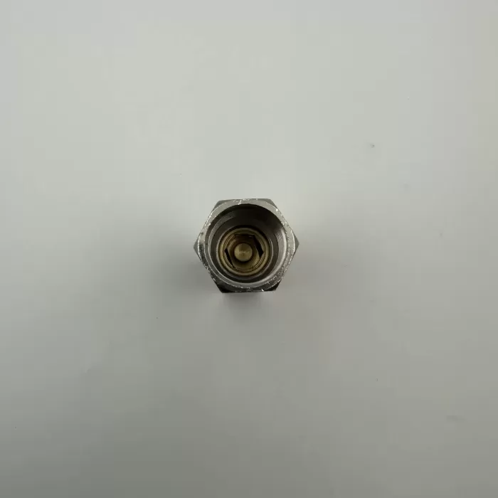 1/8 BSP PNÖMATİK HAT TİPİ ÇEK VALF (Lisinya)