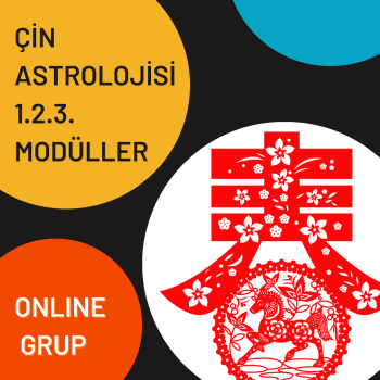 ÇİN ASTROLOJİSİ ÖZEL DERS