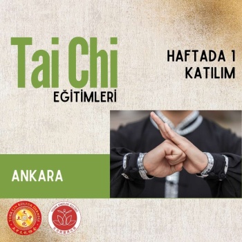 Ankara Tai Chi Ve Qigong Eğitimi Haftada 1 Katılım (KDV DAHİLDİR)