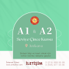 A1 VE A2 ÖRGÜN (Yüz Yüze) TEMEL SEVİYE ÇİNCE EĞİTİMLERİ (ANKARA) 120 DERS