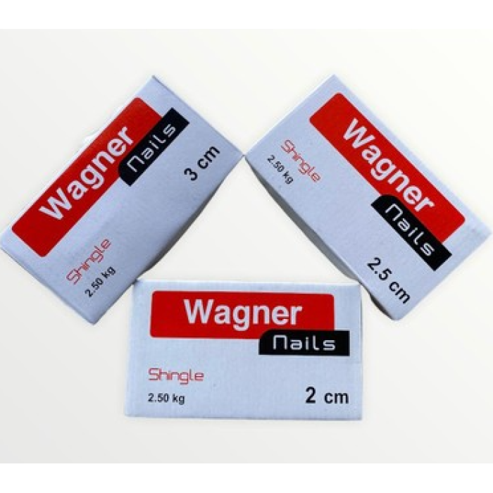 SHINGLE ÇİVİSİ 3 CM - 100 ADET