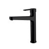 NEWARC DOMİNO ÇANAK TİPİ LAVABO BATARYASI SİYAH 971001B