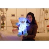 GlowBear™ – Renk Değiştiren LED Işıklı Peluş Ayıcık | Gece Lambalı Oyuncak