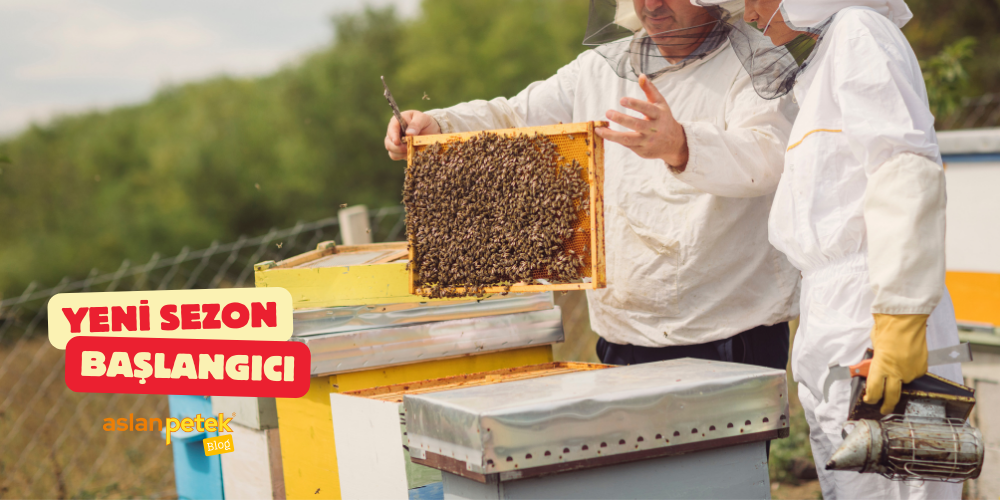 Arıcılıkta Yeni Sezonun Başlangıcı