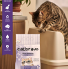 CATBRAVO Aktif  Topaklanan Lavanta Kokulu Kedi Kumu 5 Lt