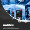 STEEP Coollife Antifriz -37 Derece Mavi 3 Lt
