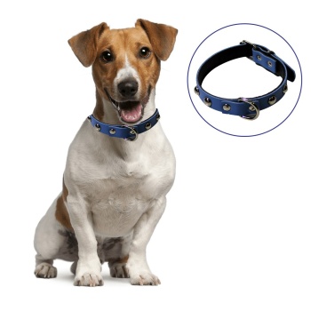 Yumuşak Dokulu Deri Köpek Gezdirme Boyun Tasması (Large) (5460)