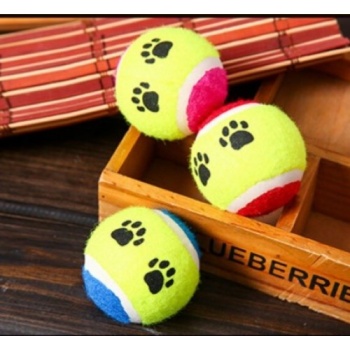 At Getir Köpek Eğitim Topu (5460)