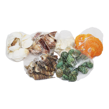 FİLELİ MİDYE DENİZ KABUK VAZO TAŞI RENKLİ MİX (5460)