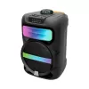 Platoon PL-4361 BT USB SD AUX 8 İNÇ Mikrofonlu Anfi Yüksek SES Taşınabilir RGB Işıklı Hoparlör (5460)