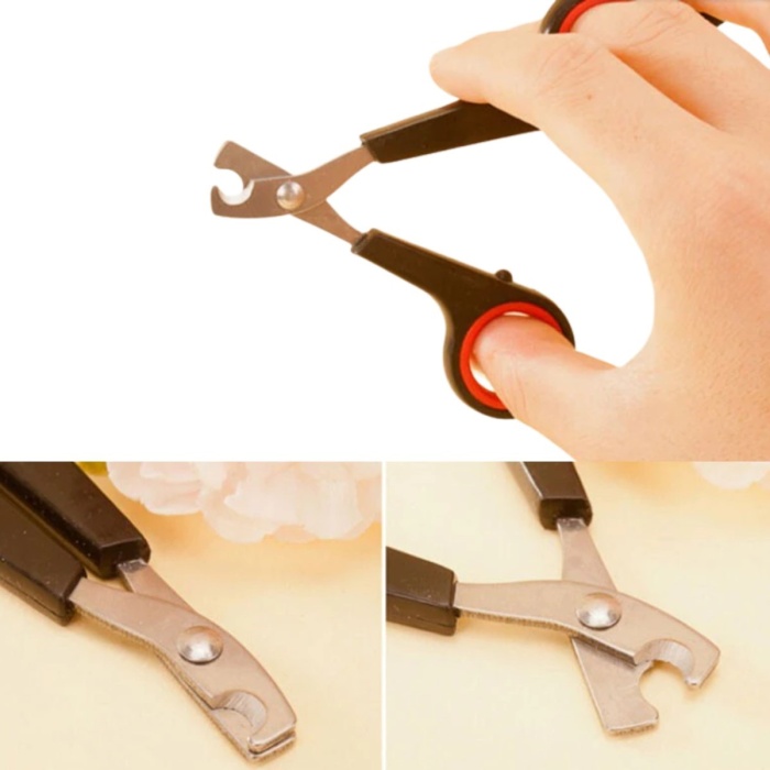 Evcil Hayvan Tırnak Makası Ve Törpü Seti Manikür Pedikür Pati Bakım Aleti Kaymaz Sap (5460)