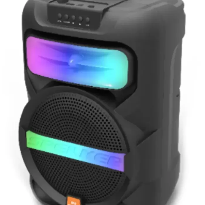 Platoon PL-4361 BT USB SD AUX 8 İNÇ Mikrofonlu Anfi Yüksek SES Taşınabilir RGB Işıklı Hoparlör (5460)