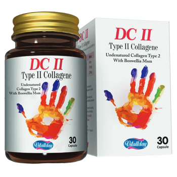 Vitallday DC II Type 2 Collagene 30 Kapsül