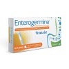 Enterogermina Yetişkin 5 ml × 10 Flakon