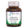 Canfeza Sezgin Spirulina Koenzim Q10 60 Kapsül