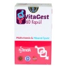 Vitagest 60 Kapsül