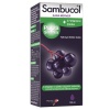Sambucol Plus Şekersiz Takviye Edici Gıda 120 ml