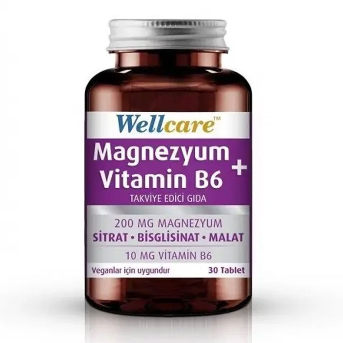 Wellcare Magnezyum + Vitamin B6 30 Tablet