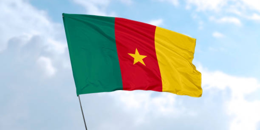 Cameroon - Vitamin Turkiye