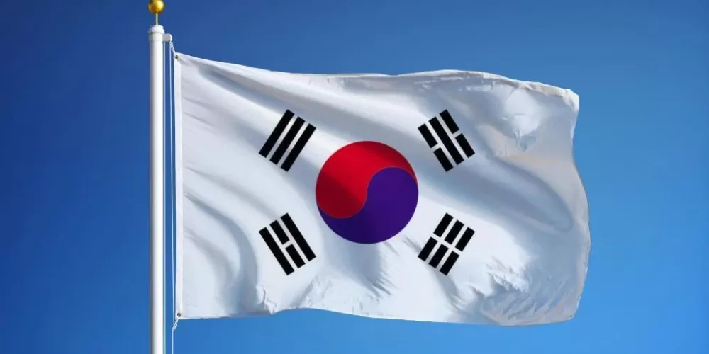 한국 - 비타민 터키
