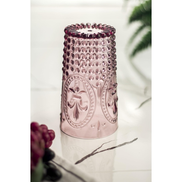 Akrilik Mürdüm 6lı Uzun Bardak & Su Meşrubat Bardağı 750 ml ( Büyük Boy & Cam Değildir )
