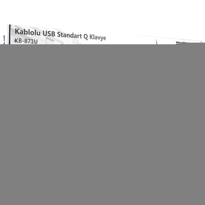 EVEREST KB-871U SİYAH USB STANDART Q KLAVYE (4767)