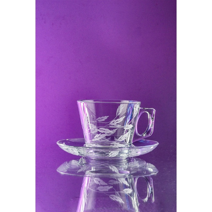 Decocia 6lı Vela Fincan Set 12 Parça 195cc Sürgün Desenli